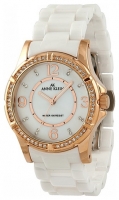 Anne Klein 9588RGWT avis, Anne Klein 9588RGWT prix, Anne Klein 9588RGWT caractéristiques, Anne Klein 9588RGWT Fiche, Anne Klein 9588RGWT Fiche technique, Anne Klein 9588RGWT achat, Anne Klein 9588RGWT acheter, Anne Klein 9588RGWT Montre