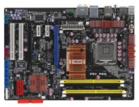 ASUS P5K Pro avis, ASUS P5K Pro prix, ASUS P5K Pro caractéristiques, ASUS P5K Pro Fiche, ASUS P5K Pro Fiche technique, ASUS P5K Pro achat, ASUS P5K Pro acheter, ASUS P5K Pro Carte mère