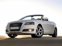 Audi A3 Cabriolet (8P/8PA) 1.2 TFSI MT (105hp) image, Audi A3 Cabriolet (8P/8PA) 1.2 TFSI MT (105hp) images, Audi A3 Cabriolet (8P/8PA) 1.2 TFSI MT (105hp) photos, Audi A3 Cabriolet (8P/8PA) 1.2 TFSI MT (105hp) photo, Audi A3 Cabriolet (8P/8PA) 1.2 TFSI MT (105hp) picture, Audi A3 Cabriolet (8P/8PA) 1.2 TFSI MT (105hp) pictures