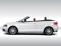 Audi A3 Cabriolet (8P/8PA) 1.2 TFSI MT (105hp) image, Audi A3 Cabriolet (8P/8PA) 1.2 TFSI MT (105hp) images, Audi A3 Cabriolet (8P/8PA) 1.2 TFSI MT (105hp) photos, Audi A3 Cabriolet (8P/8PA) 1.2 TFSI MT (105hp) photo, Audi A3 Cabriolet (8P/8PA) 1.2 TFSI MT (105hp) picture, Audi A3 Cabriolet (8P/8PA) 1.2 TFSI MT (105hp) pictures