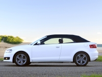 Audi A3 Cabriolet (8P/8PA) 1.6 TDI MT (105 HP) image, Audi A3 Cabriolet (8P/8PA) 1.6 TDI MT (105 HP) images, Audi A3 Cabriolet (8P/8PA) 1.6 TDI MT (105 HP) photos, Audi A3 Cabriolet (8P/8PA) 1.6 TDI MT (105 HP) photo, Audi A3 Cabriolet (8P/8PA) 1.6 TDI MT (105 HP) picture, Audi A3 Cabriolet (8P/8PA) 1.6 TDI MT (105 HP) pictures