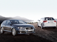 Audi A3 Hatchback 3-door (8P/8PA) 1.6 TDI S-tronic (105hp) image, Audi A3 Hatchback 3-door (8P/8PA) 1.6 TDI S-tronic (105hp) images, Audi A3 Hatchback 3-door (8P/8PA) 1.6 TDI S-tronic (105hp) photos, Audi A3 Hatchback 3-door (8P/8PA) 1.6 TDI S-tronic (105hp) photo, Audi A3 Hatchback 3-door (8P/8PA) 1.6 TDI S-tronic (105hp) picture, Audi A3 Hatchback 3-door (8P/8PA) 1.6 TDI S-tronic (105hp) pictures