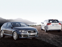 Audi A3 Hatchback 3-door (8P/8PA) 1.9 TDI S-tronic (105hp) image, Audi A3 Hatchback 3-door (8P/8PA) 1.9 TDI S-tronic (105hp) images, Audi A3 Hatchback 3-door (8P/8PA) 1.9 TDI S-tronic (105hp) photos, Audi A3 Hatchback 3-door (8P/8PA) 1.9 TDI S-tronic (105hp) photo, Audi A3 Hatchback 3-door (8P/8PA) 1.9 TDI S-tronic (105hp) picture, Audi A3 Hatchback 3-door (8P/8PA) 1.9 TDI S-tronic (105hp) pictures