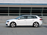 Audi A3 Sportback hatchback 5-door. (8P/8PA) 1.4 TFSI S-tronic (125 HP, '08) image, Audi A3 Sportback hatchback 5-door. (8P/8PA) 1.4 TFSI S-tronic (125 HP, '08) images, Audi A3 Sportback hatchback 5-door. (8P/8PA) 1.4 TFSI S-tronic (125 HP, '08) photos, Audi A3 Sportback hatchback 5-door. (8P/8PA) 1.4 TFSI S-tronic (125 HP, '08) photo, Audi A3 Sportback hatchback 5-door. (8P/8PA) 1.4 TFSI S-tronic (125 HP, '08) picture, Audi A3 Sportback hatchback 5-door. (8P/8PA) 1.4 TFSI S-tronic (125 HP, '08) pictures