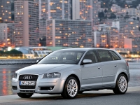 Audi A3 Sportback hatchback 5-door. (8P/8PA) 1.4 TFSI S-tronic (125 HP, '08) image, Audi A3 Sportback hatchback 5-door. (8P/8PA) 1.4 TFSI S-tronic (125 HP, '08) images, Audi A3 Sportback hatchback 5-door. (8P/8PA) 1.4 TFSI S-tronic (125 HP, '08) photos, Audi A3 Sportback hatchback 5-door. (8P/8PA) 1.4 TFSI S-tronic (125 HP, '08) photo, Audi A3 Sportback hatchback 5-door. (8P/8PA) 1.4 TFSI S-tronic (125 HP, '08) picture, Audi A3 Sportback hatchback 5-door. (8P/8PA) 1.4 TFSI S-tronic (125 HP, '08) pictures