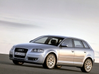 Audi A3 Sportback hatchback 5-door. (8P/8PA) 1.4 TFSI S-tronic (125 HP, '08) image, Audi A3 Sportback hatchback 5-door. (8P/8PA) 1.4 TFSI S-tronic (125 HP, '08) images, Audi A3 Sportback hatchback 5-door. (8P/8PA) 1.4 TFSI S-tronic (125 HP, '08) photos, Audi A3 Sportback hatchback 5-door. (8P/8PA) 1.4 TFSI S-tronic (125 HP, '08) photo, Audi A3 Sportback hatchback 5-door. (8P/8PA) 1.4 TFSI S-tronic (125 HP, '08) picture, Audi A3 Sportback hatchback 5-door. (8P/8PA) 1.4 TFSI S-tronic (125 HP, '08) pictures