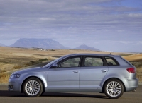 Audi A3 Sportback hatchback 5-door. (8P/8PA) 1.4 TFSI S-tronic (125 HP, '08) image, Audi A3 Sportback hatchback 5-door. (8P/8PA) 1.4 TFSI S-tronic (125 HP, '08) images, Audi A3 Sportback hatchback 5-door. (8P/8PA) 1.4 TFSI S-tronic (125 HP, '08) photos, Audi A3 Sportback hatchback 5-door. (8P/8PA) 1.4 TFSI S-tronic (125 HP, '08) photo, Audi A3 Sportback hatchback 5-door. (8P/8PA) 1.4 TFSI S-tronic (125 HP, '08) picture, Audi A3 Sportback hatchback 5-door. (8P/8PA) 1.4 TFSI S-tronic (125 HP, '08) pictures