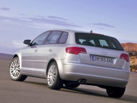 Audi A3 Sportback hatchback 5-door. (8P/8PA) 1.4 TFSI S-tronic (125 HP, '08) image, Audi A3 Sportback hatchback 5-door. (8P/8PA) 1.4 TFSI S-tronic (125 HP, '08) images, Audi A3 Sportback hatchback 5-door. (8P/8PA) 1.4 TFSI S-tronic (125 HP, '08) photos, Audi A3 Sportback hatchback 5-door. (8P/8PA) 1.4 TFSI S-tronic (125 HP, '08) photo, Audi A3 Sportback hatchback 5-door. (8P/8PA) 1.4 TFSI S-tronic (125 HP, '08) picture, Audi A3 Sportback hatchback 5-door. (8P/8PA) 1.4 TFSI S-tronic (125 HP, '08) pictures