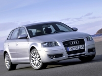 Audi A3 Sportback hatchback 5-door. (8P/8PA) 1.4 TFSI S-tronic (125 HP, '08) image, Audi A3 Sportback hatchback 5-door. (8P/8PA) 1.4 TFSI S-tronic (125 HP, '08) images, Audi A3 Sportback hatchback 5-door. (8P/8PA) 1.4 TFSI S-tronic (125 HP, '08) photos, Audi A3 Sportback hatchback 5-door. (8P/8PA) 1.4 TFSI S-tronic (125 HP, '08) photo, Audi A3 Sportback hatchback 5-door. (8P/8PA) 1.4 TFSI S-tronic (125 HP, '08) picture, Audi A3 Sportback hatchback 5-door. (8P/8PA) 1.4 TFSI S-tronic (125 HP, '08) pictures