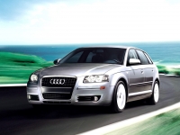 Audi A3 Sportback hatchback 5-door. (8P/8PA) 1.6 FSI MT (115 HP '05) image, Audi A3 Sportback hatchback 5-door. (8P/8PA) 1.6 FSI MT (115 HP '05) images, Audi A3 Sportback hatchback 5-door. (8P/8PA) 1.6 FSI MT (115 HP '05) photos, Audi A3 Sportback hatchback 5-door. (8P/8PA) 1.6 FSI MT (115 HP '05) photo, Audi A3 Sportback hatchback 5-door. (8P/8PA) 1.6 FSI MT (115 HP '05) picture, Audi A3 Sportback hatchback 5-door. (8P/8PA) 1.6 FSI MT (115 HP '05) pictures