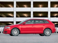 Audi A3 Sportback hatchback 5-door. (8P/8PA) 1.6 FSI MT (115 HP '05) image, Audi A3 Sportback hatchback 5-door. (8P/8PA) 1.6 FSI MT (115 HP '05) images, Audi A3 Sportback hatchback 5-door. (8P/8PA) 1.6 FSI MT (115 HP '05) photos, Audi A3 Sportback hatchback 5-door. (8P/8PA) 1.6 FSI MT (115 HP '05) photo, Audi A3 Sportback hatchback 5-door. (8P/8PA) 1.6 FSI MT (115 HP '05) picture, Audi A3 Sportback hatchback 5-door. (8P/8PA) 1.6 FSI MT (115 HP '05) pictures