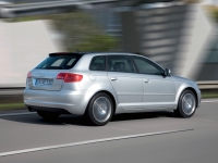 Audi A3 Sportback hatchback 5-door. (8P/8PA) 1.6 MT (102 HP) image, Audi A3 Sportback hatchback 5-door. (8P/8PA) 1.6 MT (102 HP) images, Audi A3 Sportback hatchback 5-door. (8P/8PA) 1.6 MT (102 HP) photos, Audi A3 Sportback hatchback 5-door. (8P/8PA) 1.6 MT (102 HP) photo, Audi A3 Sportback hatchback 5-door. (8P/8PA) 1.6 MT (102 HP) picture, Audi A3 Sportback hatchback 5-door. (8P/8PA) 1.6 MT (102 HP) pictures