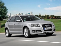 Audi A3 Sportback hatchback 5-door. (8P/8PA) 1.6 MT (102 HP) image, Audi A3 Sportback hatchback 5-door. (8P/8PA) 1.6 MT (102 HP) images, Audi A3 Sportback hatchback 5-door. (8P/8PA) 1.6 MT (102 HP) photos, Audi A3 Sportback hatchback 5-door. (8P/8PA) 1.6 MT (102 HP) photo, Audi A3 Sportback hatchback 5-door. (8P/8PA) 1.6 MT (102 HP) picture, Audi A3 Sportback hatchback 5-door. (8P/8PA) 1.6 MT (102 HP) pictures