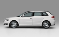 Audi A3 Sportback hatchback 5-door. (8P/8PA) 1.6 MT (102 HP) image, Audi A3 Sportback hatchback 5-door. (8P/8PA) 1.6 MT (102 HP) images, Audi A3 Sportback hatchback 5-door. (8P/8PA) 1.6 MT (102 HP) photos, Audi A3 Sportback hatchback 5-door. (8P/8PA) 1.6 MT (102 HP) photo, Audi A3 Sportback hatchback 5-door. (8P/8PA) 1.6 MT (102 HP) picture, Audi A3 Sportback hatchback 5-door. (8P/8PA) 1.6 MT (102 HP) pictures