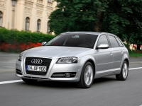 Audi A3 Sportback hatchback 5-door. (8P/8PA) 1.6 MT (102 HP) image, Audi A3 Sportback hatchback 5-door. (8P/8PA) 1.6 MT (102 HP) images, Audi A3 Sportback hatchback 5-door. (8P/8PA) 1.6 MT (102 HP) photos, Audi A3 Sportback hatchback 5-door. (8P/8PA) 1.6 MT (102 HP) photo, Audi A3 Sportback hatchback 5-door. (8P/8PA) 1.6 MT (102 HP) picture, Audi A3 Sportback hatchback 5-door. (8P/8PA) 1.6 MT (102 HP) pictures