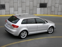 Audi A3 Sportback hatchback 5-door. (8P/8PA) 1.6 MT (102 HP) image, Audi A3 Sportback hatchback 5-door. (8P/8PA) 1.6 MT (102 HP) images, Audi A3 Sportback hatchback 5-door. (8P/8PA) 1.6 MT (102 HP) photos, Audi A3 Sportback hatchback 5-door. (8P/8PA) 1.6 MT (102 HP) photo, Audi A3 Sportback hatchback 5-door. (8P/8PA) 1.6 MT (102 HP) picture, Audi A3 Sportback hatchback 5-door. (8P/8PA) 1.6 MT (102 HP) pictures