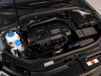 Audi A3 Sportback hatchback 5-door. (8P/8PA) 1.6 MT (102 HP) image, Audi A3 Sportback hatchback 5-door. (8P/8PA) 1.6 MT (102 HP) images, Audi A3 Sportback hatchback 5-door. (8P/8PA) 1.6 MT (102 HP) photos, Audi A3 Sportback hatchback 5-door. (8P/8PA) 1.6 MT (102 HP) photo, Audi A3 Sportback hatchback 5-door. (8P/8PA) 1.6 MT (102 HP) picture, Audi A3 Sportback hatchback 5-door. (8P/8PA) 1.6 MT (102 HP) pictures