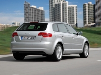 Audi A3 Sportback hatchback 5-door. (8P/8PA) 1.6 MT (102hp) image, Audi A3 Sportback hatchback 5-door. (8P/8PA) 1.6 MT (102hp) images, Audi A3 Sportback hatchback 5-door. (8P/8PA) 1.6 MT (102hp) photos, Audi A3 Sportback hatchback 5-door. (8P/8PA) 1.6 MT (102hp) photo, Audi A3 Sportback hatchback 5-door. (8P/8PA) 1.6 MT (102hp) picture, Audi A3 Sportback hatchback 5-door. (8P/8PA) 1.6 MT (102hp) pictures