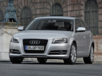 Audi A3 Sportback hatchback 5-door. (8P/8PA) 1.6 MT (102hp) image, Audi A3 Sportback hatchback 5-door. (8P/8PA) 1.6 MT (102hp) images, Audi A3 Sportback hatchback 5-door. (8P/8PA) 1.6 MT (102hp) photos, Audi A3 Sportback hatchback 5-door. (8P/8PA) 1.6 MT (102hp) photo, Audi A3 Sportback hatchback 5-door. (8P/8PA) 1.6 MT (102hp) picture, Audi A3 Sportback hatchback 5-door. (8P/8PA) 1.6 MT (102hp) pictures