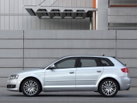 Audi A3 Sportback hatchback 5-door. (8P/8PA) 1.6 MT (102hp) image, Audi A3 Sportback hatchback 5-door. (8P/8PA) 1.6 MT (102hp) images, Audi A3 Sportback hatchback 5-door. (8P/8PA) 1.6 MT (102hp) photos, Audi A3 Sportback hatchback 5-door. (8P/8PA) 1.6 MT (102hp) photo, Audi A3 Sportback hatchback 5-door. (8P/8PA) 1.6 MT (102hp) picture, Audi A3 Sportback hatchback 5-door. (8P/8PA) 1.6 MT (102hp) pictures