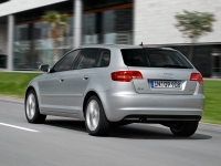 Audi A3 Sportback hatchback 5-door. (8P/8PA) 1.6 MT (102hp) image, Audi A3 Sportback hatchback 5-door. (8P/8PA) 1.6 MT (102hp) images, Audi A3 Sportback hatchback 5-door. (8P/8PA) 1.6 MT (102hp) photos, Audi A3 Sportback hatchback 5-door. (8P/8PA) 1.6 MT (102hp) photo, Audi A3 Sportback hatchback 5-door. (8P/8PA) 1.6 MT (102hp) picture, Audi A3 Sportback hatchback 5-door. (8P/8PA) 1.6 MT (102hp) pictures