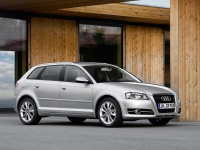 Audi A3 Sportback hatchback 5-door. (8P/8PA) 1.6 MT (102hp) image, Audi A3 Sportback hatchback 5-door. (8P/8PA) 1.6 MT (102hp) images, Audi A3 Sportback hatchback 5-door. (8P/8PA) 1.6 MT (102hp) photos, Audi A3 Sportback hatchback 5-door. (8P/8PA) 1.6 MT (102hp) photo, Audi A3 Sportback hatchback 5-door. (8P/8PA) 1.6 MT (102hp) picture, Audi A3 Sportback hatchback 5-door. (8P/8PA) 1.6 MT (102hp) pictures