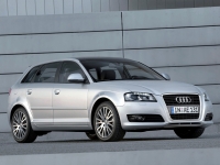 Audi A3 Sportback hatchback 5-door. (8P/8PA) 1.6 S-tronic (102 HP) image, Audi A3 Sportback hatchback 5-door. (8P/8PA) 1.6 S-tronic (102 HP) images, Audi A3 Sportback hatchback 5-door. (8P/8PA) 1.6 S-tronic (102 HP) photos, Audi A3 Sportback hatchback 5-door. (8P/8PA) 1.6 S-tronic (102 HP) photo, Audi A3 Sportback hatchback 5-door. (8P/8PA) 1.6 S-tronic (102 HP) picture, Audi A3 Sportback hatchback 5-door. (8P/8PA) 1.6 S-tronic (102 HP) pictures