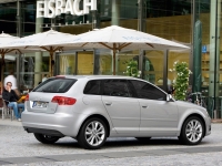 Audi A3 Sportback hatchback 5-door. (8P/8PA) 1.6 TDI 102g MT (105 HP) image, Audi A3 Sportback hatchback 5-door. (8P/8PA) 1.6 TDI 102g MT (105 HP) images, Audi A3 Sportback hatchback 5-door. (8P/8PA) 1.6 TDI 102g MT (105 HP) photos, Audi A3 Sportback hatchback 5-door. (8P/8PA) 1.6 TDI 102g MT (105 HP) photo, Audi A3 Sportback hatchback 5-door. (8P/8PA) 1.6 TDI 102g MT (105 HP) picture, Audi A3 Sportback hatchback 5-door. (8P/8PA) 1.6 TDI 102g MT (105 HP) pictures