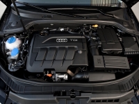 Audi A3 Sportback hatchback 5-door. (8P/8PA) 1.6 TDI S-tronic (105 HP) image, Audi A3 Sportback hatchback 5-door. (8P/8PA) 1.6 TDI S-tronic (105 HP) images, Audi A3 Sportback hatchback 5-door. (8P/8PA) 1.6 TDI S-tronic (105 HP) photos, Audi A3 Sportback hatchback 5-door. (8P/8PA) 1.6 TDI S-tronic (105 HP) photo, Audi A3 Sportback hatchback 5-door. (8P/8PA) 1.6 TDI S-tronic (105 HP) picture, Audi A3 Sportback hatchback 5-door. (8P/8PA) 1.6 TDI S-tronic (105 HP) pictures