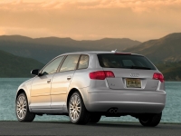 Audi A3 Sportback hatchback 5-door. (8P/8PA) 1.9 TDIe (Dpf MT (105 HP '07) image, Audi A3 Sportback hatchback 5-door. (8P/8PA) 1.9 TDIe (Dpf MT (105 HP '07) images, Audi A3 Sportback hatchback 5-door. (8P/8PA) 1.9 TDIe (Dpf MT (105 HP '07) photos, Audi A3 Sportback hatchback 5-door. (8P/8PA) 1.9 TDIe (Dpf MT (105 HP '07) photo, Audi A3 Sportback hatchback 5-door. (8P/8PA) 1.9 TDIe (Dpf MT (105 HP '07) picture, Audi A3 Sportback hatchback 5-door. (8P/8PA) 1.9 TDIe (Dpf MT (105 HP '07) pictures