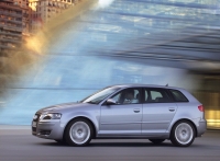 Audi A3 Sportback hatchback 5-door. (8P/8PA) 1.9 TDIe (Dpf MT (105 HP '07) image, Audi A3 Sportback hatchback 5-door. (8P/8PA) 1.9 TDIe (Dpf MT (105 HP '07) images, Audi A3 Sportback hatchback 5-door. (8P/8PA) 1.9 TDIe (Dpf MT (105 HP '07) photos, Audi A3 Sportback hatchback 5-door. (8P/8PA) 1.9 TDIe (Dpf MT (105 HP '07) photo, Audi A3 Sportback hatchback 5-door. (8P/8PA) 1.9 TDIe (Dpf MT (105 HP '07) picture, Audi A3 Sportback hatchback 5-door. (8P/8PA) 1.9 TDIe (Dpf MT (105 HP '07) pictures