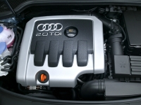 Audi A3 Sportback hatchback 5-door. (8P/8PA) 1.9 TDIe (Dpf MT image, Audi A3 Sportback hatchback 5-door. (8P/8PA) 1.9 TDIe (Dpf MT images, Audi A3 Sportback hatchback 5-door. (8P/8PA) 1.9 TDIe (Dpf MT photos, Audi A3 Sportback hatchback 5-door. (8P/8PA) 1.9 TDIe (Dpf MT photo, Audi A3 Sportback hatchback 5-door. (8P/8PA) 1.9 TDIe (Dpf MT picture, Audi A3 Sportback hatchback 5-door. (8P/8PA) 1.9 TDIe (Dpf MT pictures