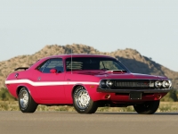 Dodge Challenger R/T coupe 2-door (1 generation) 6.3 V8 TorqueFlite (335hp) image, Dodge Challenger R/T coupe 2-door (1 generation) 6.3 V8 TorqueFlite (335hp) images, Dodge Challenger R/T coupe 2-door (1 generation) 6.3 V8 TorqueFlite (335hp) photos, Dodge Challenger R/T coupe 2-door (1 generation) 6.3 V8 TorqueFlite (335hp) photo, Dodge Challenger R/T coupe 2-door (1 generation) 6.3 V8 TorqueFlite (335hp) picture, Dodge Challenger R/T coupe 2-door (1 generation) 6.3 V8 TorqueFlite (335hp) pictures