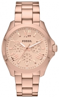 Fossil AM4511 avis, Fossil AM4511 prix, Fossil AM4511 caractéristiques, Fossil AM4511 Fiche, Fossil AM4511 Fiche technique, Fossil AM4511 achat, Fossil AM4511 acheter, Fossil AM4511 Montre