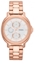 Fossil ES3353 avis, Fossil ES3353 prix, Fossil ES3353 caractéristiques, Fossil ES3353 Fiche, Fossil ES3353 Fiche technique, Fossil ES3353 achat, Fossil ES3353 acheter, Fossil ES3353 Montre