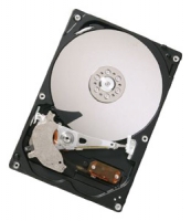 HGST HDP725032GLA380 avis, HGST HDP725032GLA380 prix, HGST HDP725032GLA380 caractéristiques, HGST HDP725032GLA380 Fiche, HGST HDP725032GLA380 Fiche technique, HGST HDP725032GLA380 achat, HGST HDP725032GLA380 acheter, HGST HDP725032GLA380 Disques dur