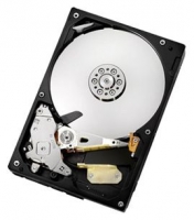 HGST HDS5C1010CLA382 avis, HGST HDS5C1010CLA382 prix, HGST HDS5C1010CLA382 caractéristiques, HGST HDS5C1010CLA382 Fiche, HGST HDS5C1010CLA382 Fiche technique, HGST HDS5C1010CLA382 achat, HGST HDS5C1010CLA382 acheter, HGST HDS5C1010CLA382 Disques dur