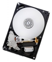 HGST HDT721016SLA380 avis, HGST HDT721016SLA380 prix, HGST HDT721016SLA380 caractéristiques, HGST HDT721016SLA380 Fiche, HGST HDT721016SLA380 Fiche technique, HGST HDT721016SLA380 achat, HGST HDT721016SLA380 acheter, HGST HDT721016SLA380 Disques dur