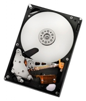 HGST HUA722010ALA330 avis, HGST HUA722010ALA330 prix, HGST HUA722010ALA330 caractéristiques, HGST HUA722010ALA330 Fiche, HGST HUA722010ALA330 Fiche technique, HGST HUA722010ALA330 achat, HGST HUA722010ALA330 acheter, HGST HUA722010ALA330 Disques dur