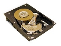 HGST HUS157336EL3800 avis, HGST HUS157336EL3800 prix, HGST HUS157336EL3800 caractéristiques, HGST HUS157336EL3800 Fiche, HGST HUS157336EL3800 Fiche technique, HGST HUS157336EL3800 achat, HGST HUS157336EL3800 acheter, HGST HUS157336EL3800 Disques dur