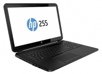 HP 255 G2 (F0Z76EA) (A4 5000 1500 Mhz/15.6"/1366x768/2.0Go/500Go/DVDRW/wifi/Bluetooth/Win 8 64) image, HP 255 G2 (F0Z76EA) (A4 5000 1500 Mhz/15.6"/1366x768/2.0Go/500Go/DVDRW/wifi/Bluetooth/Win 8 64) images, HP 255 G2 (F0Z76EA) (A4 5000 1500 Mhz/15.6"/1366x768/2.0Go/500Go/DVDRW/wifi/Bluetooth/Win 8 64) photos, HP 255 G2 (F0Z76EA) (A4 5000 1500 Mhz/15.6"/1366x768/2.0Go/500Go/DVDRW/wifi/Bluetooth/Win 8 64) photo, HP 255 G2 (F0Z76EA) (A4 5000 1500 Mhz/15.6"/1366x768/2.0Go/500Go/DVDRW/wifi/Bluetooth/Win 8 64) picture, HP 255 G2 (F0Z76EA) (A4 5000 1500 Mhz/15.6"/1366x768/2.0Go/500Go/DVDRW/wifi/Bluetooth/Win 8 64) pictures