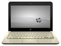 HP PAVILION dm1-2050er (Athlon II Neo Dual-Core K325 1300 Mhz/11.6