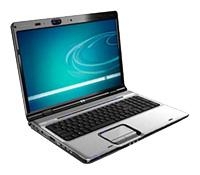 HP PAVILION dv9790ep (Core 2 Duo T9300 2500 Mhz/17.0