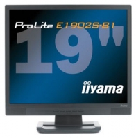 Iiyama ProLite E1902S avis, Iiyama ProLite E1902S prix, Iiyama ProLite E1902S caractéristiques, Iiyama ProLite E1902S Fiche, Iiyama ProLite E1902S Fiche technique, Iiyama ProLite E1902S achat, Iiyama ProLite E1902S acheter, Iiyama ProLite E1902S Écran d'ordinateur