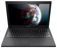 Lenovo IdeaPad G505 (E1 2100 1000 Mhz/15.6