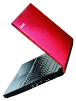 Lenovo IdeaPad U110 (Core 2 Duo L7500 1600 Mhz/11.1