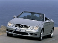 Mercedes-Benz CLK-Class AMG cabriolet 2-door (C209/A209) CLK 55 AMG AT (367 hp) image, Mercedes-Benz CLK-Class AMG cabriolet 2-door (C209/A209) CLK 55 AMG AT (367 hp) images, Mercedes-Benz CLK-Class AMG cabriolet 2-door (C209/A209) CLK 55 AMG AT (367 hp) photos, Mercedes-Benz CLK-Class AMG cabriolet 2-door (C209/A209) CLK 55 AMG AT (367 hp) photo, Mercedes-Benz CLK-Class AMG cabriolet 2-door (C209/A209) CLK 55 AMG AT (367 hp) picture, Mercedes-Benz CLK-Class AMG cabriolet 2-door (C209/A209) CLK 55 AMG AT (367 hp) pictures