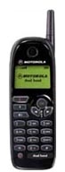 Motorola M3288 avis, Motorola M3288 prix, Motorola M3288 caractéristiques, Motorola M3288 Fiche, Motorola M3288 Fiche technique, Motorola M3288 achat, Motorola M3288 acheter, Motorola M3288 Téléphone portable