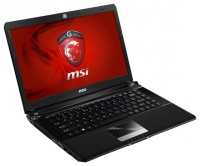 MSI GE40 2OC Dragon Eyes (Core i7 4702MQ 2200 Mhz/14