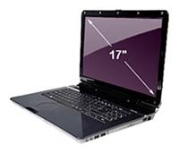 Packard Bell EasyNote ST85 (Core 2 Duo P8400 2260 Mhz/17.0